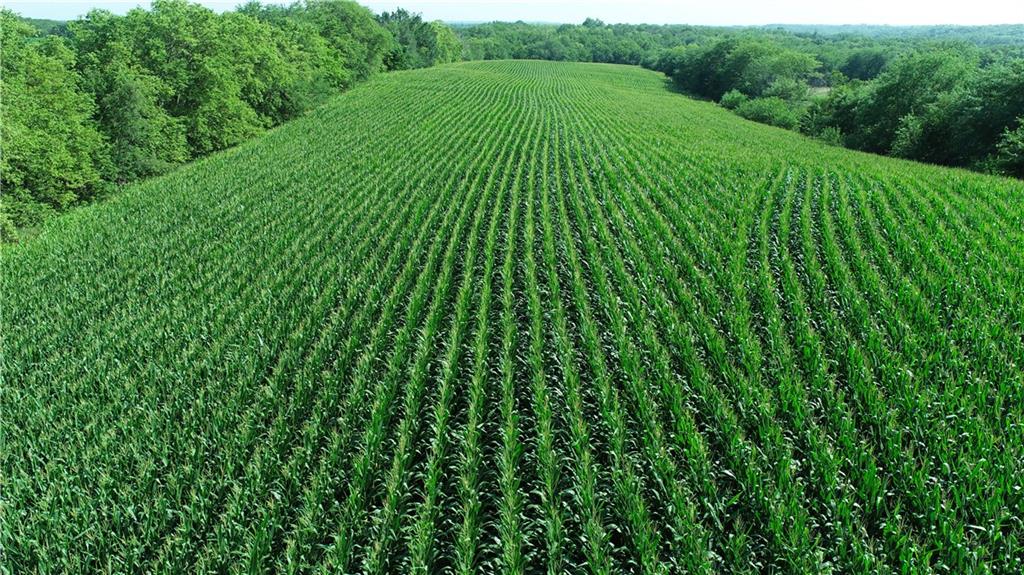 9226 427th Road Savannah, MO 64485 - Photo 4 of 88