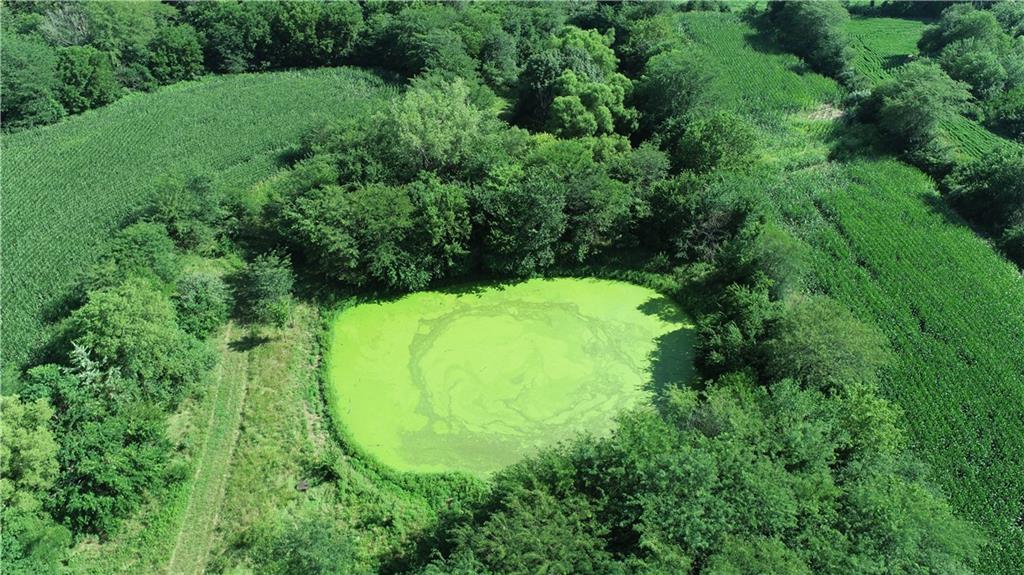 9226 427th Road Savannah, MO 64485 - Photo 6 of 88