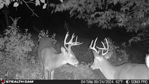 9226 427th Road Savannah, MO 64485 - Photo 81 of 88