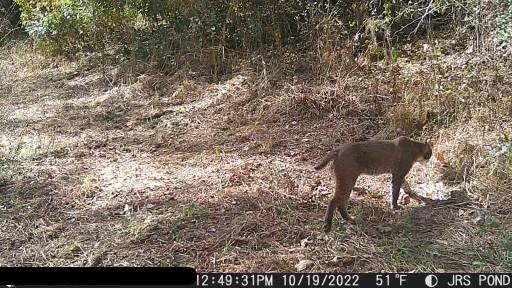 9226 427th Road Savannah, MO 64485 - Photo 82 of 88