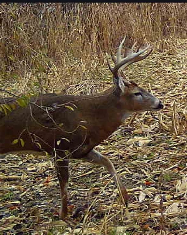 9226 427th Road Savannah, MO 64485 - Photo 85 of 88