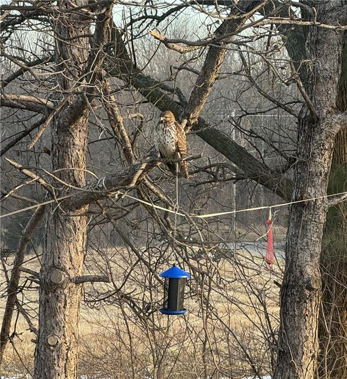 9226 427th Road Savannah, MO 64485 - Photo 87 of 88