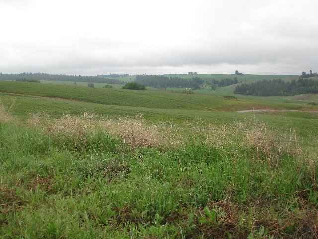 0 East Gibbs Road, Unit PARCEL A Spokane, WA 99223 - Photo 2 of 8 Gallery Image 2