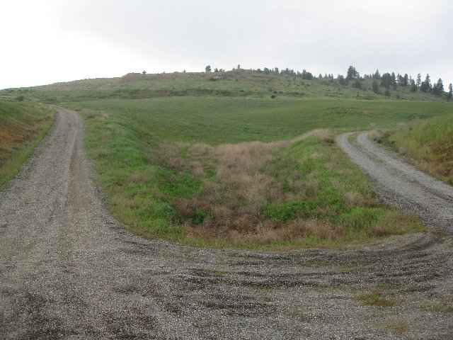 0 East Gibbs Road, Unit PARCEL A Spokane, WA 99223 - Photo 4 of 8 Gallery Image 4