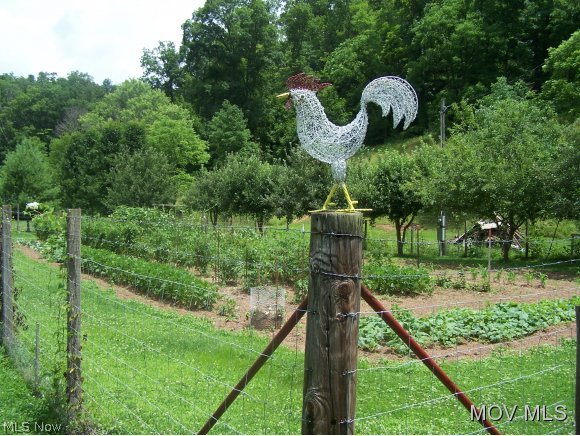 2866 Charleston Road Spencer, WV 25276 - Photo 23 of 24 Large fenced gardem area