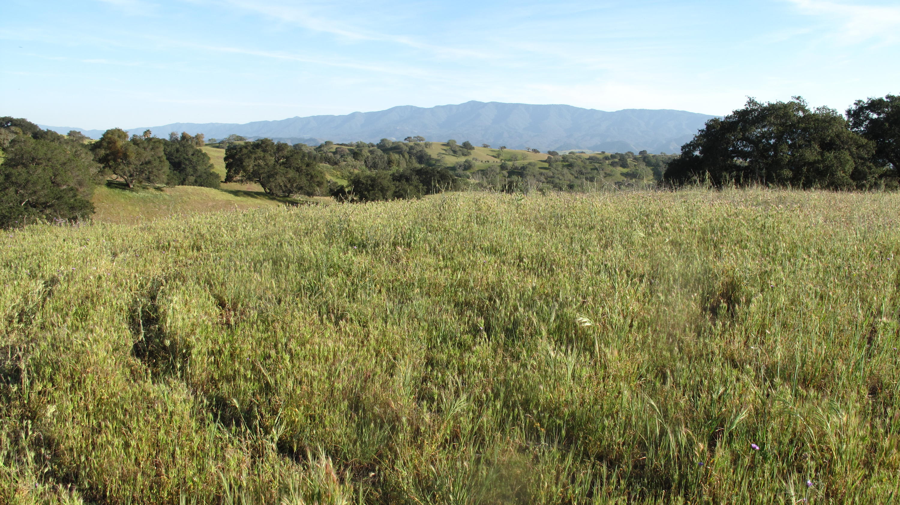 Blue Oak Ranch 013