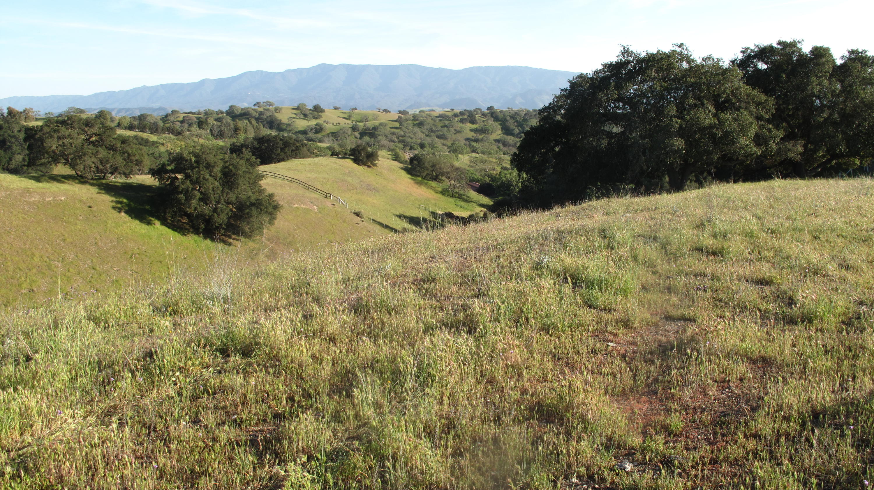 0 Live Oak Road Santa Ynez, CA 93460 - Photo 12 of 13 Blue Oak Ranch 017