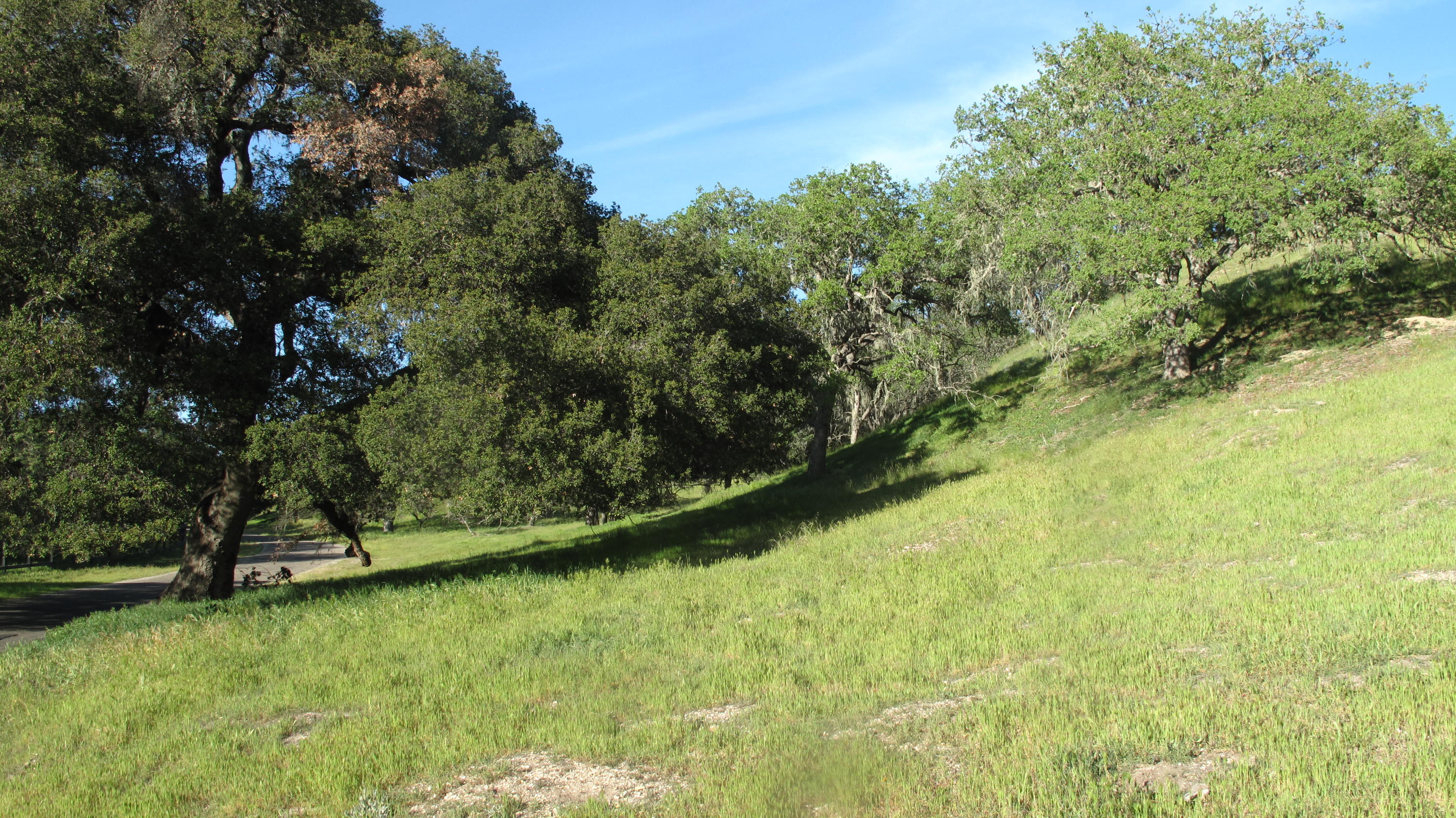 Blue Oak Ranch 004
