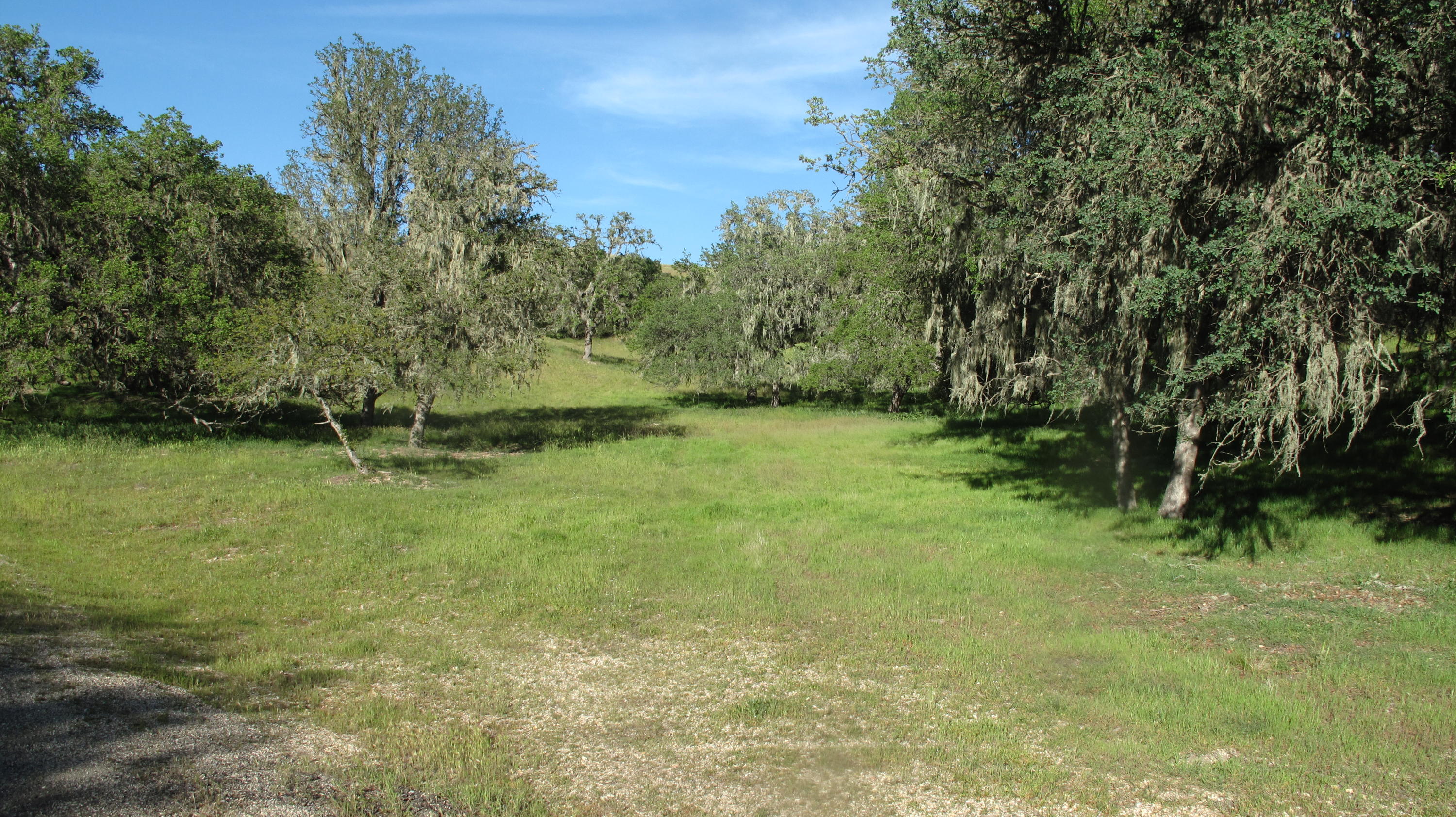 Blue Oak Ranch 006