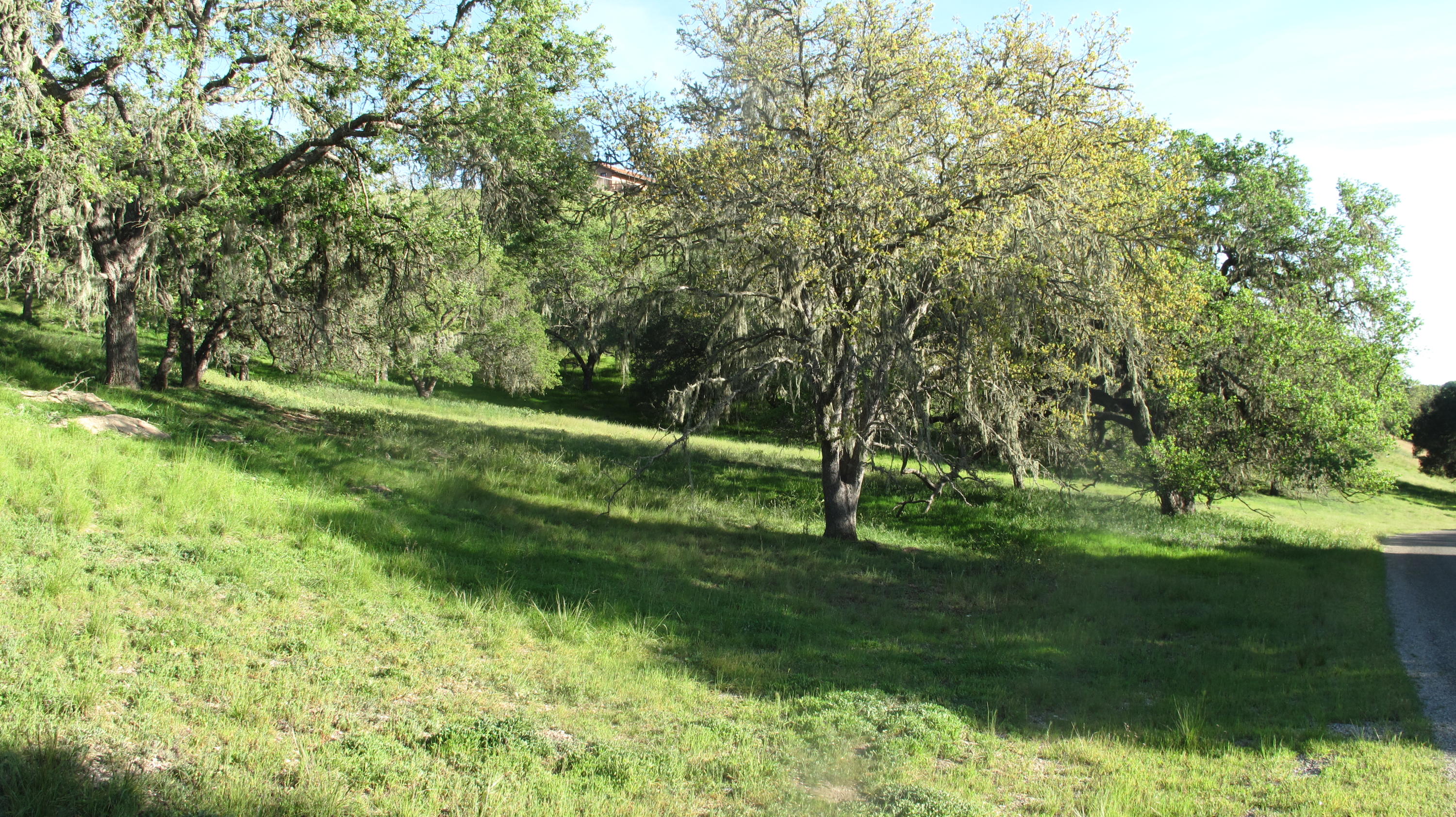 Blue Oak Ranch 007