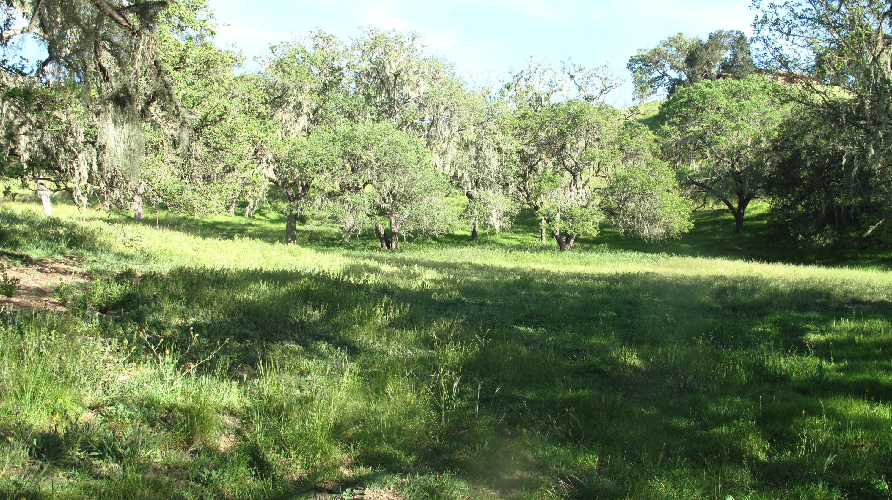 Blue Oak Ranch 008