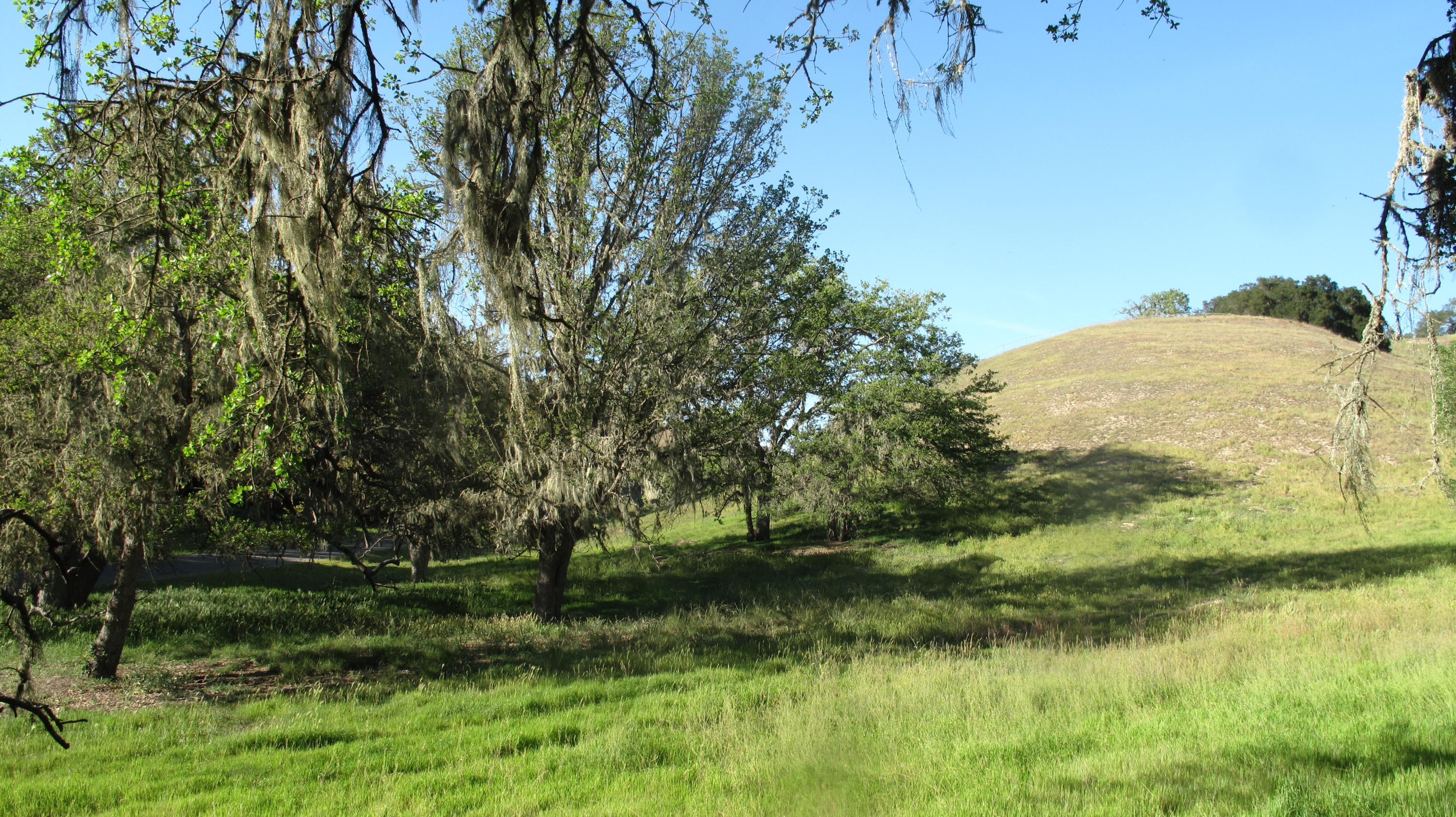 Blue Oak Ranch 009