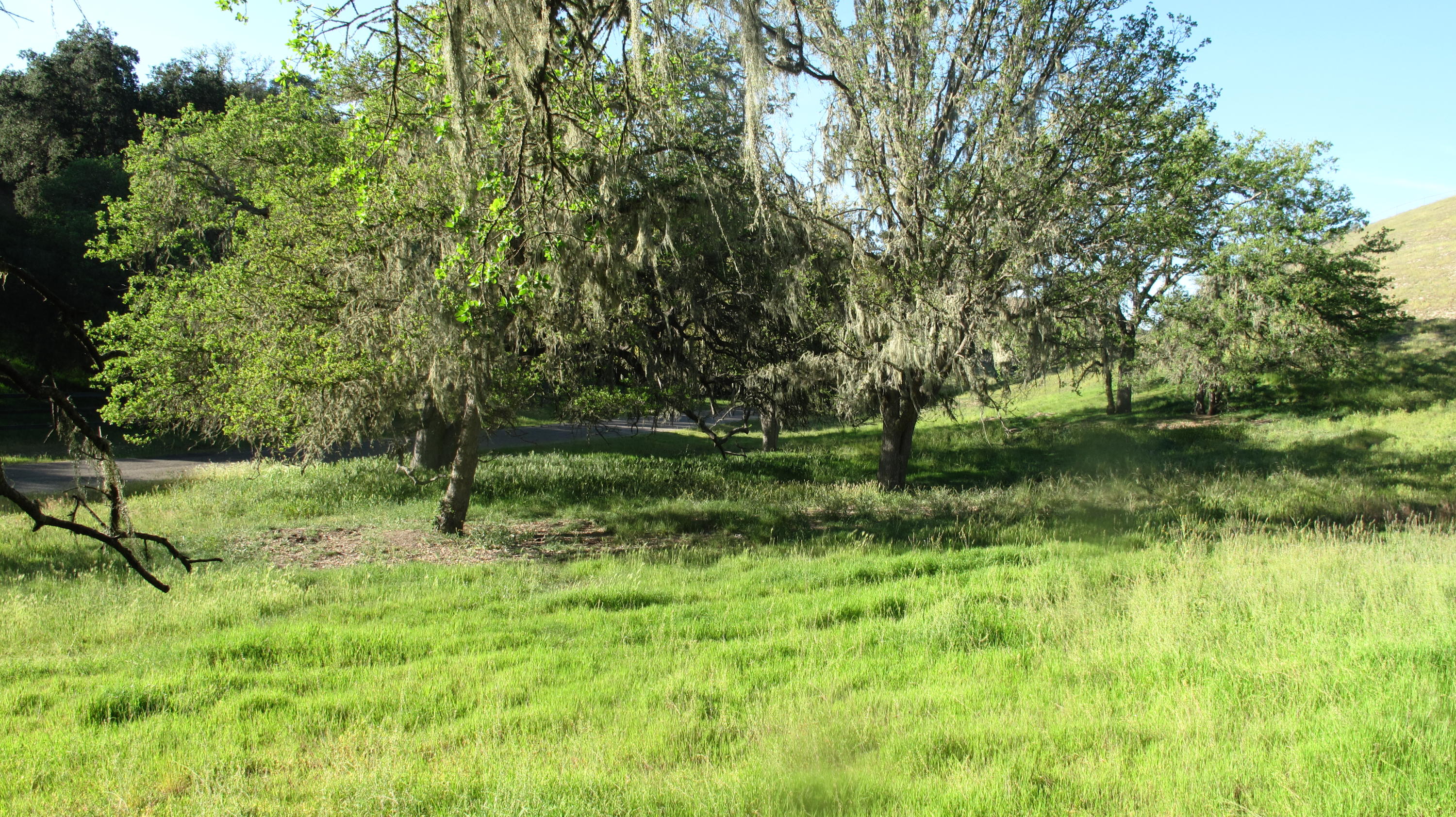 0 Live Oak Road Santa Ynez, CA 93460 - Photo 8 of 13 Blue Oak Ranch 010
