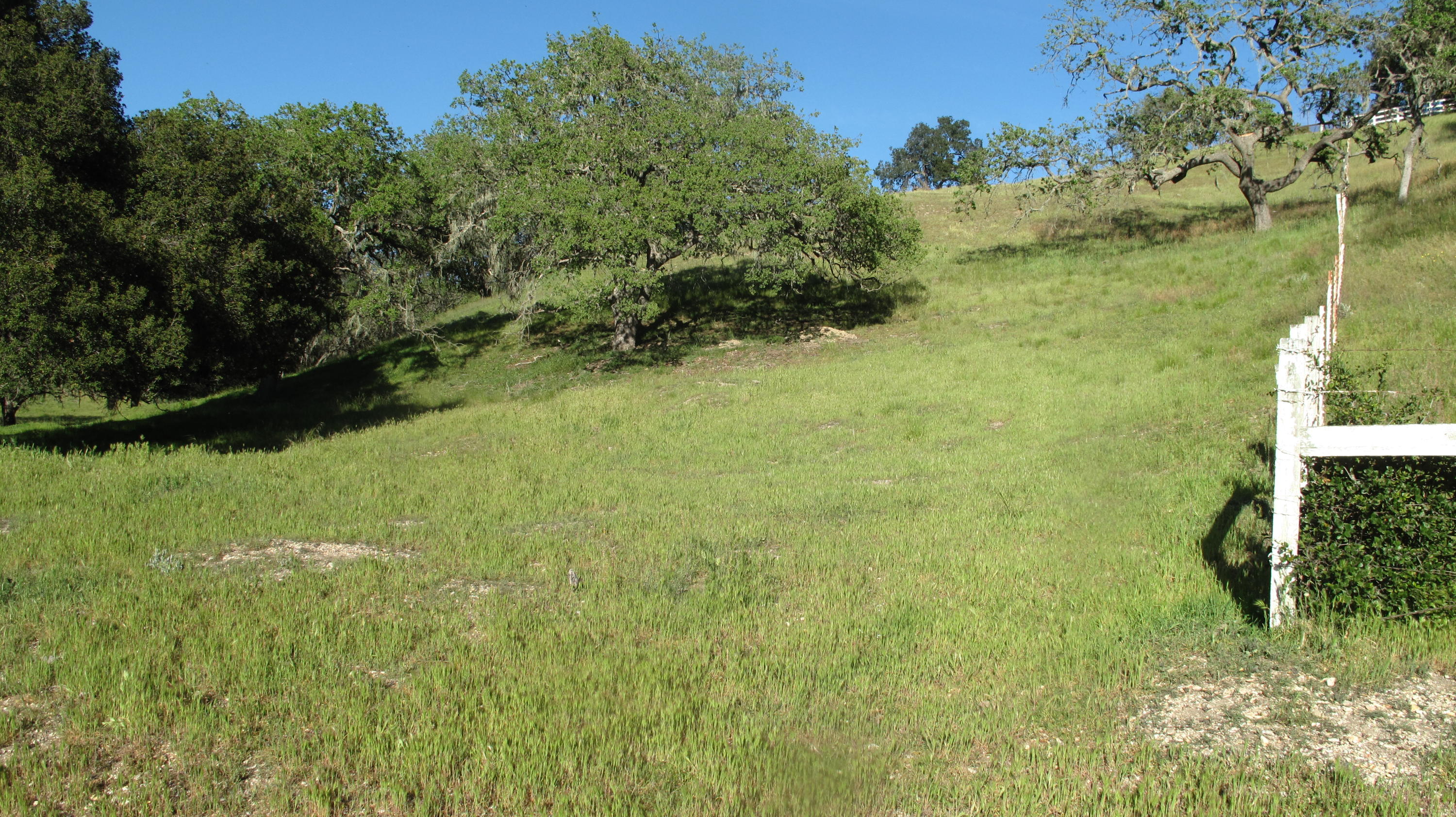 0 Live Oak Road Santa Ynez, CA 93460 - Photo 9 of 13 Blue Oak Ranch 011