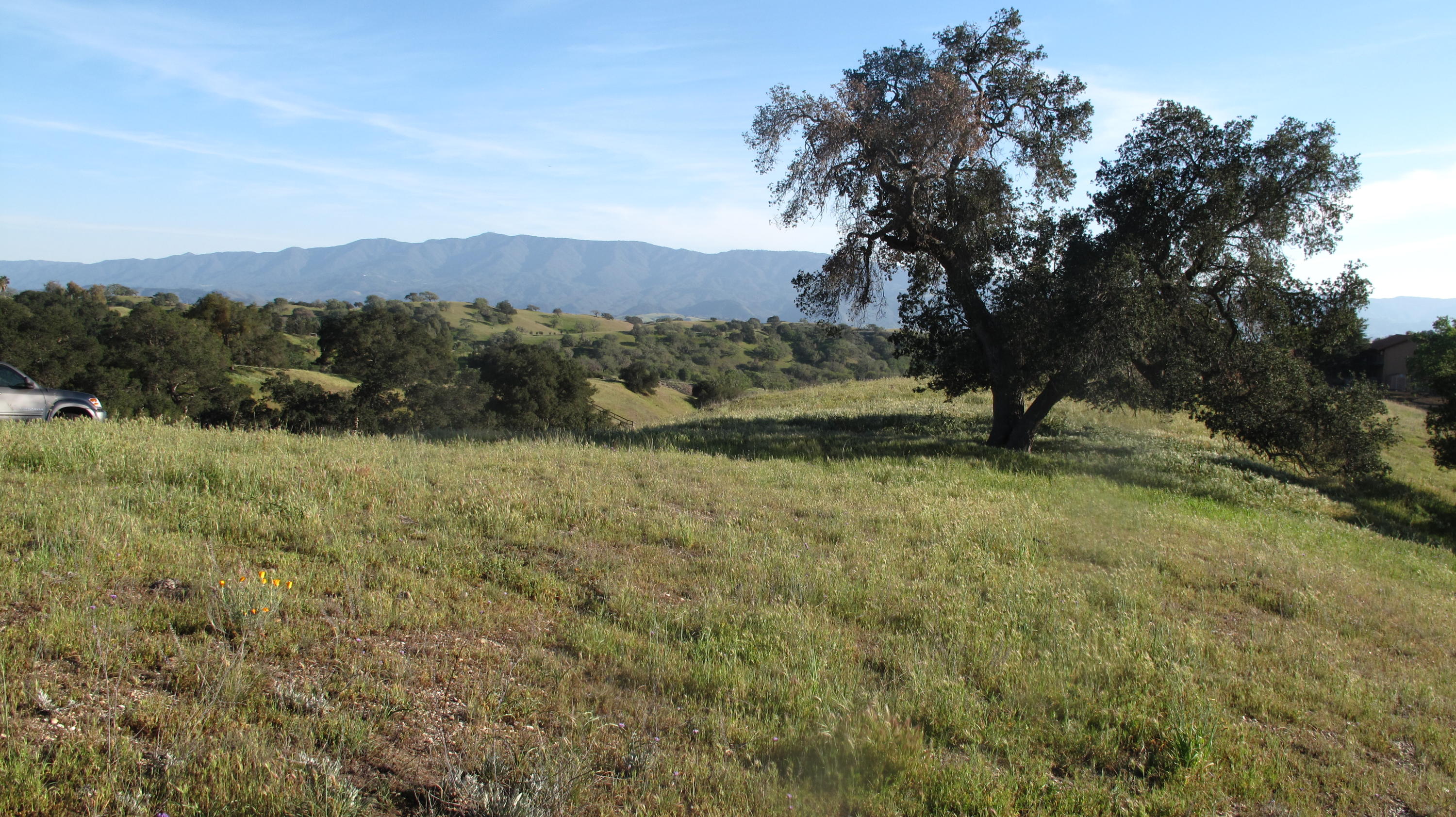 0 Live Oak Road Santa Ynez, CA 93460 - Photo 10 of 13 Blue Oak Ranch 012