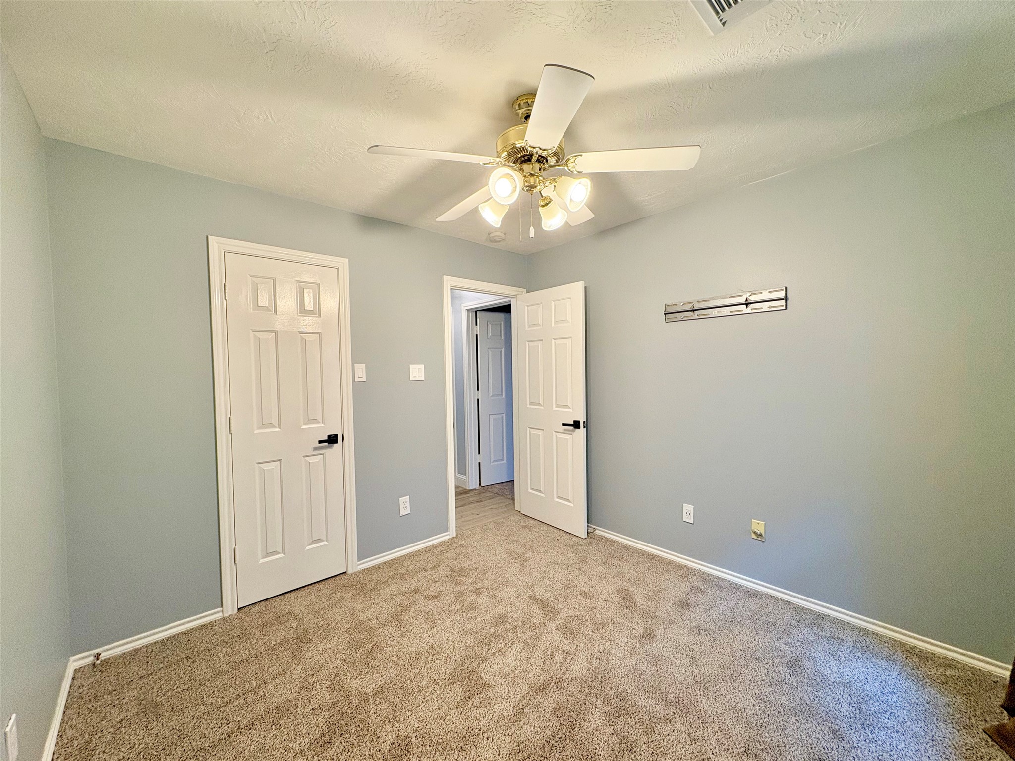 15410 Redbud Berry Way Cypress, TX 77433 - Photo 42 of 49 This room features neutral-toned carpeting, light gray walls, and a ceiling fan with lights. It has two white doors, one leading to a hallway, offering a clean and cozy space ideal for a bedroom or home office.