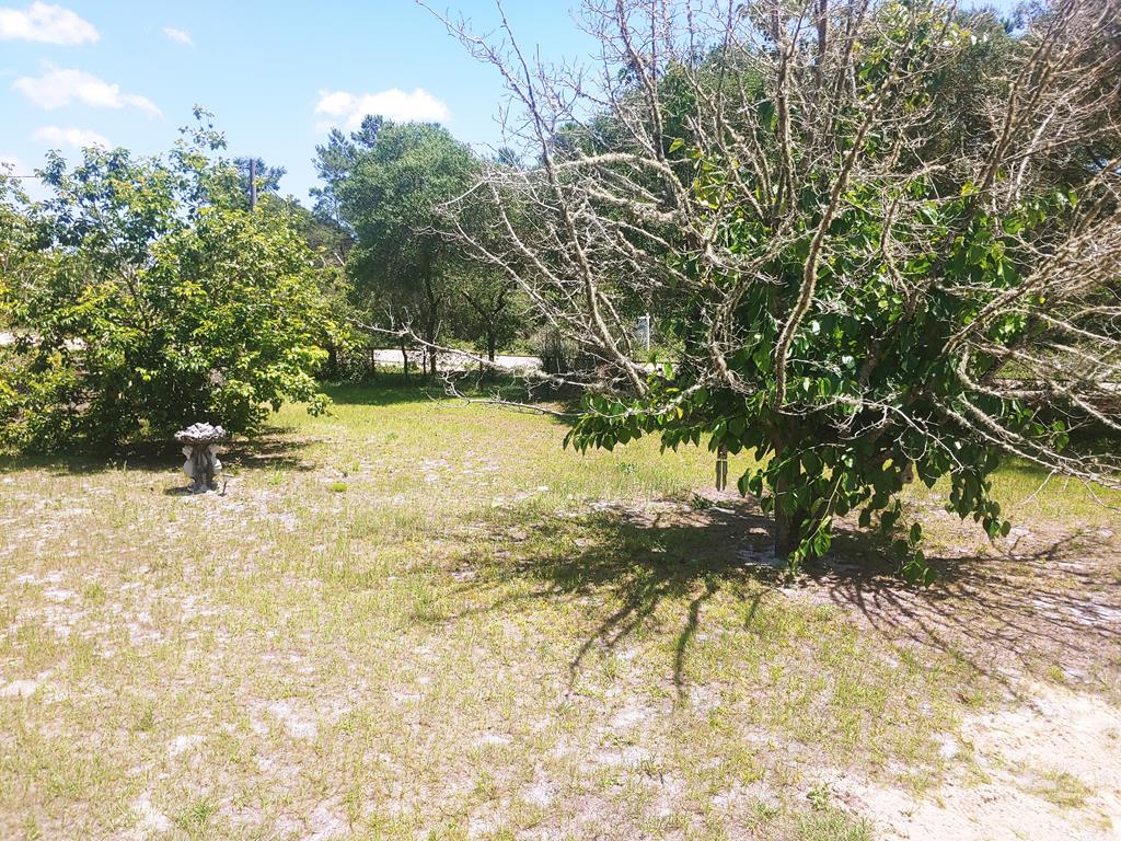 1847 Lighthouse Road Carrabelle, FL 32322 - Photo 50 of 66 Gallery Image 50