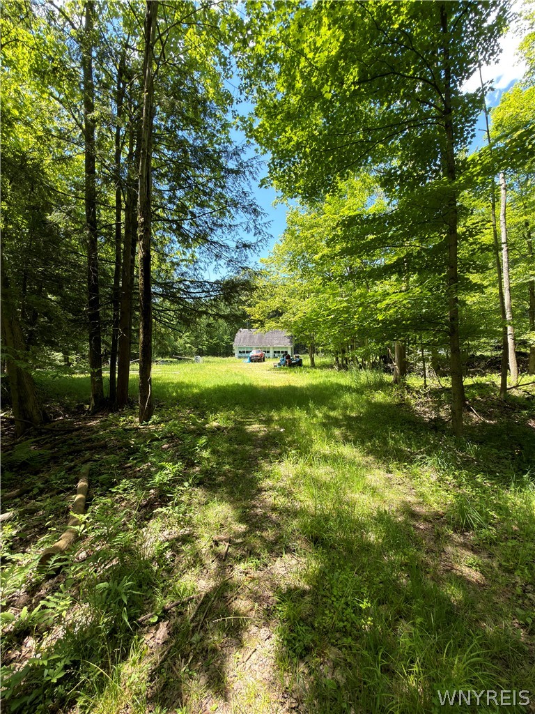 13800 Pritchard Road Concord, NY 14141 - Photo 2 of 8