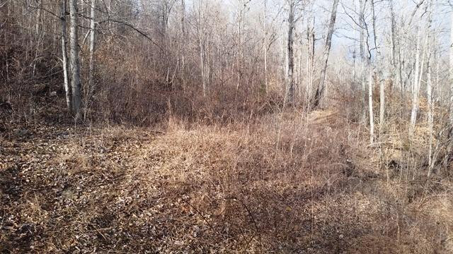899 South Fork Road Stanton, KY 40380 - Photo 4 of 22 Photo 4