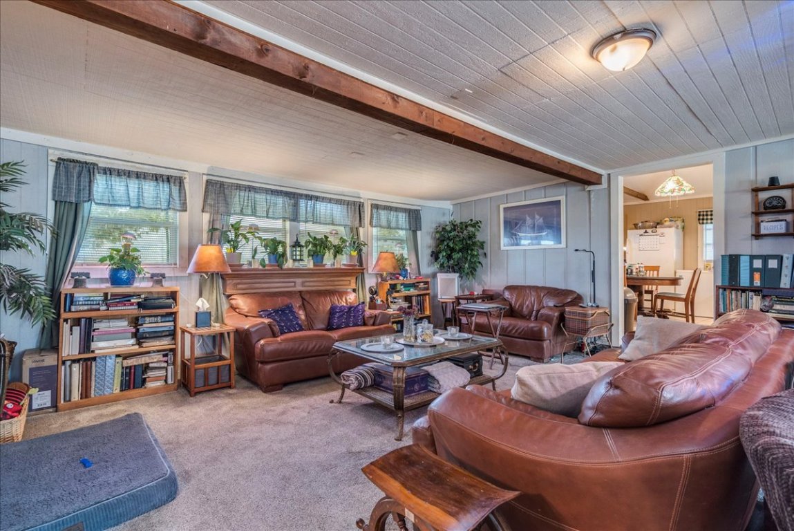 2411 Rohde Road Kyle, TX 78640 - Photo 9 of 40 Carpeted living room with healthy amount of natural light and beam ceiling