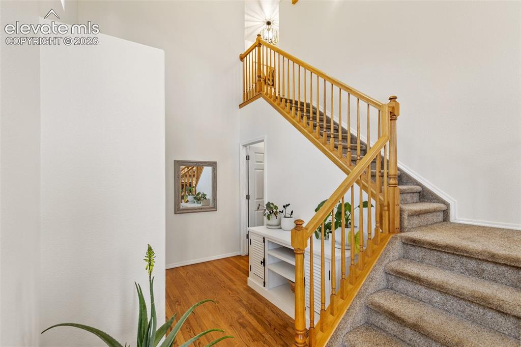 9840 Mohawk Trail Cascade, CO 80809 - Photo 19 of 50