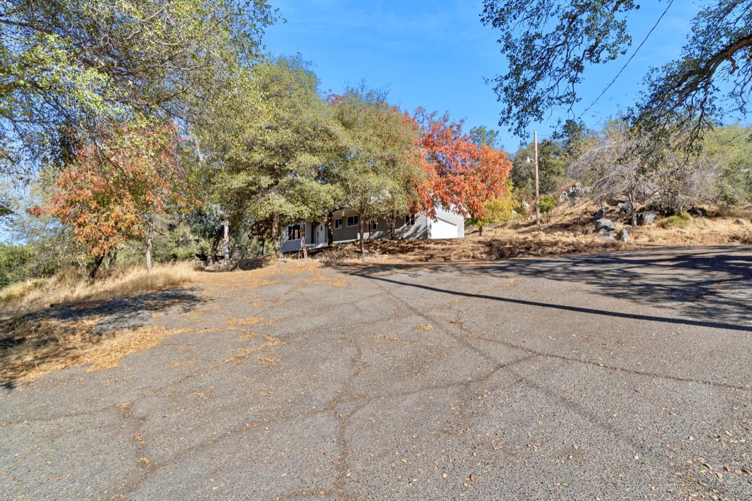 43299 Ranger Cir Drive Coarsegold, CA 93614 - Photo 35 of 44 a view of road and trees