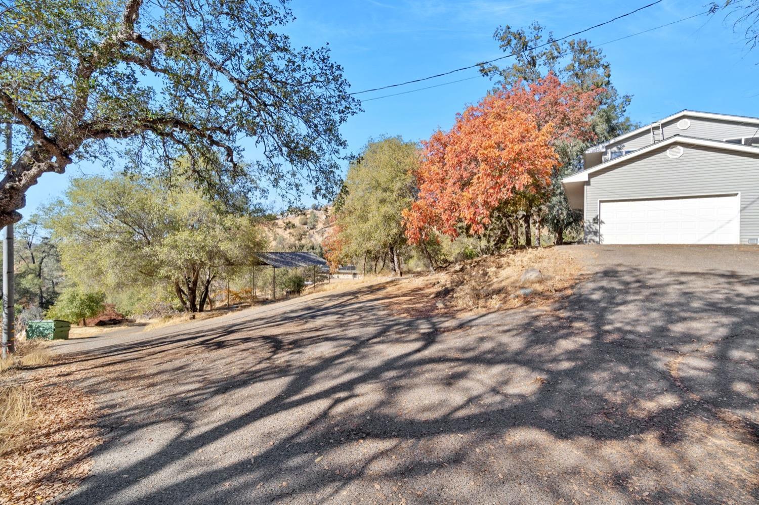 43299 Ranger Cir Drive Coarsegold, CA 93614 - Photo 36 of 44 a view of a yard with a tree