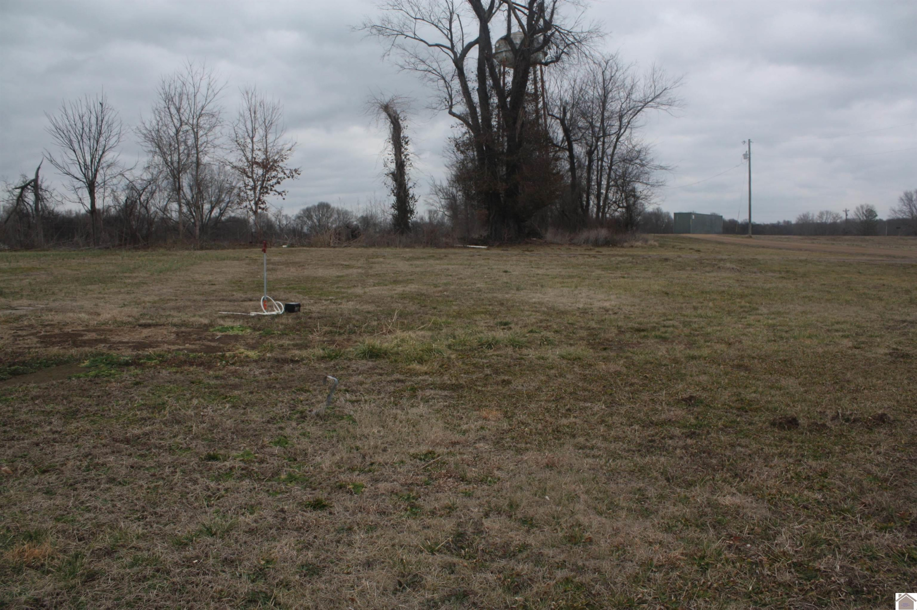 134 State Route Fulton, KY 42041 - Photo 2 of 5 Photo 2