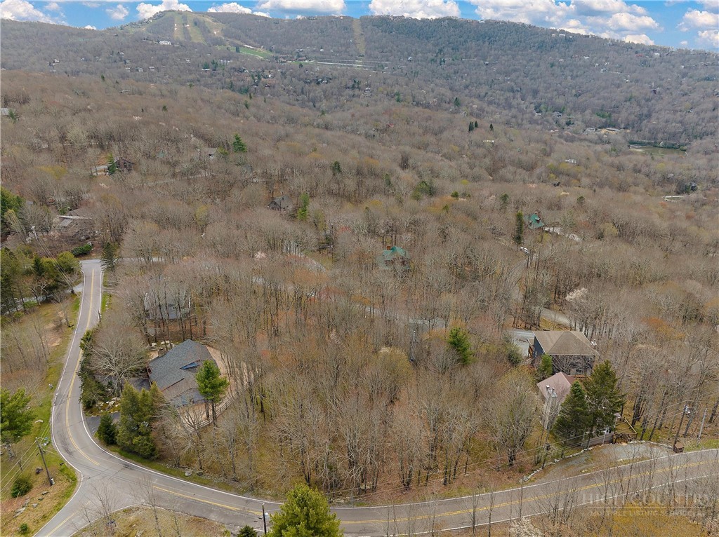 103-105 Upper Grouse Ridge Road Beech Mountain, NC 28604 - Photo 47 of 48 a aerial view of a house with a yard