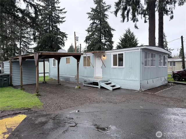 a view of backyard with a barn and a large cactus tree