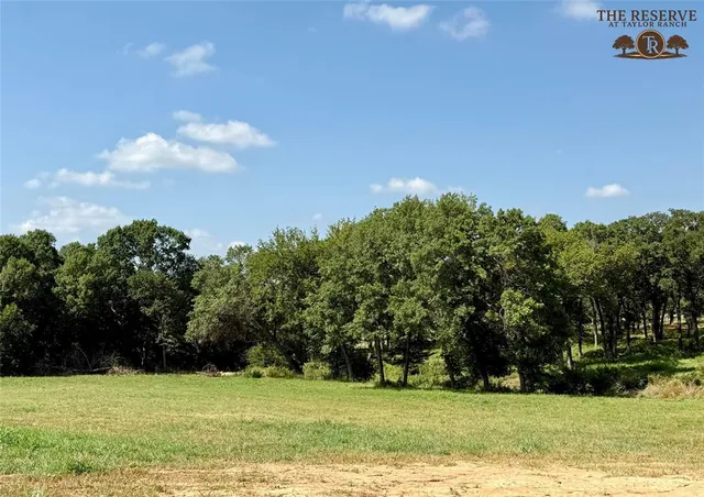 a view of a field with trees in the background