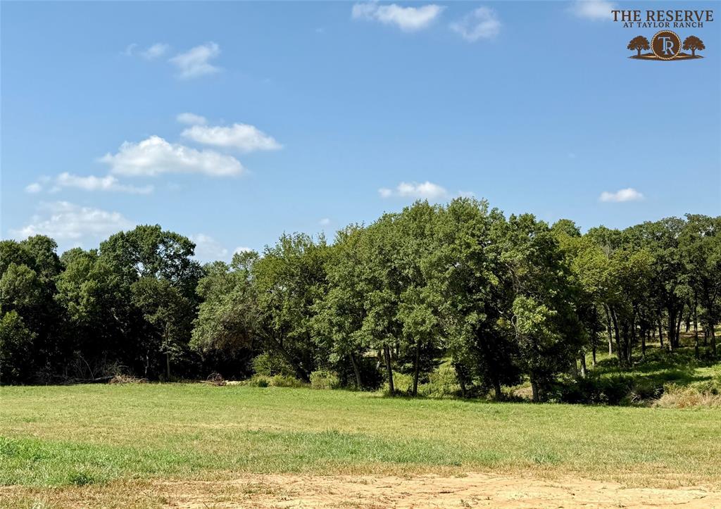 Lot 72 Camden Lane Springtown, TX 76082 - Photo 2 of 10 a view of a field with trees in the background