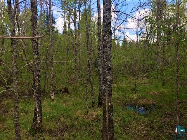Xxx Hefflefinger Road Silver Bay, MN 55614 - Photo 3 of 9 Gallery Image 3