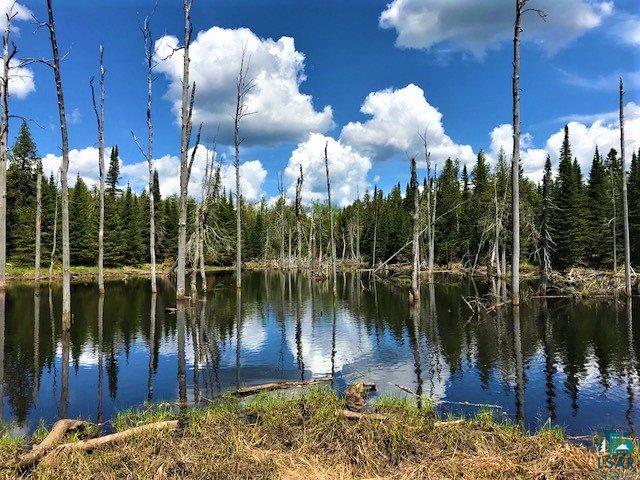 Xxx Hefflefinger Road Silver Bay, MN 55614 - Photo 4 of 9 Gallery Image 4
