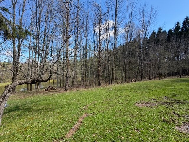 2856 Zimmer Road Scio, NY 14880 - Photo 21 of 50