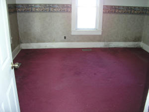 8286 Tunnelton Road Bedford, IN 47421 - Photo 4 of 9