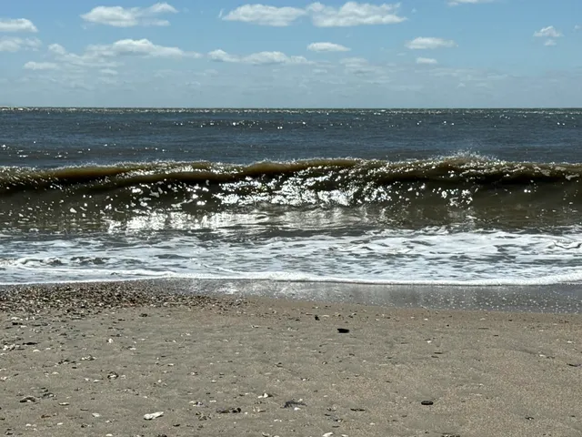 $575,000 | 3113 Palmetto Boulevard, Edisto Island, SC 29438