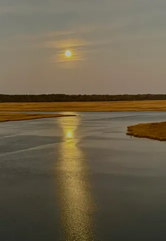 $575,000 | 3113 Palmetto Boulevard, Edisto Island, SC 29438