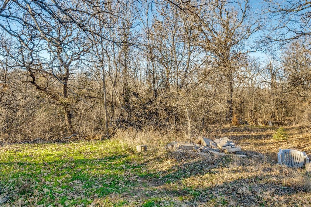 319 County Road 4868 Azle, TX 76020 - Photo 14 of 22 a view of yard with large tree