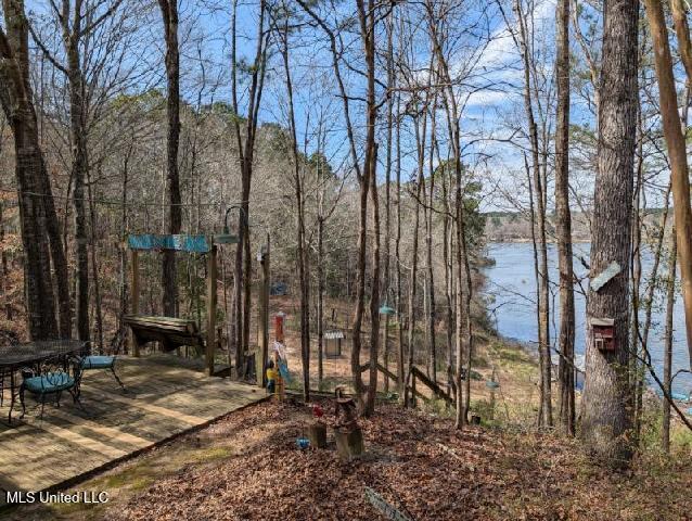 642 Columbine Lane Southwest Brookhaven, MS 39601 - Photo 27 of 33 image000007