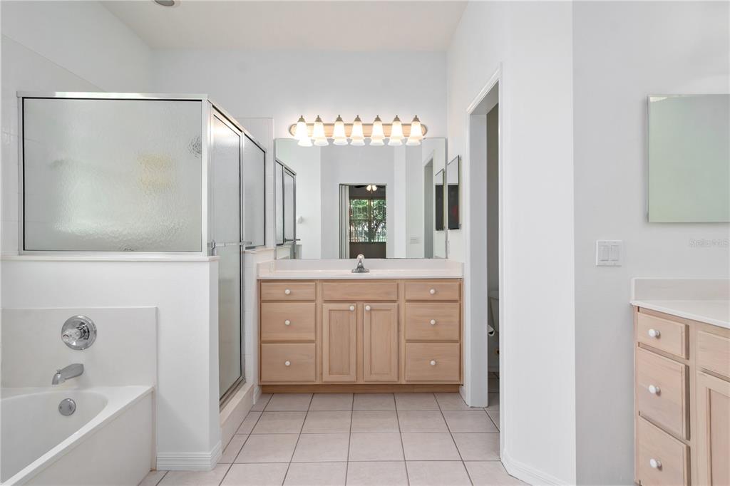 9441 Southwest 90th Street Ocala, FL 34481 - Photo 27 of 48 a spacious bathroom with a granite countertop sink a mirror and a bathtub