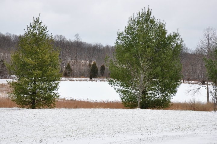 9570 South Snow Road Bloomington, IN 47403 - Photo 24 of 27 Gallery Image 24