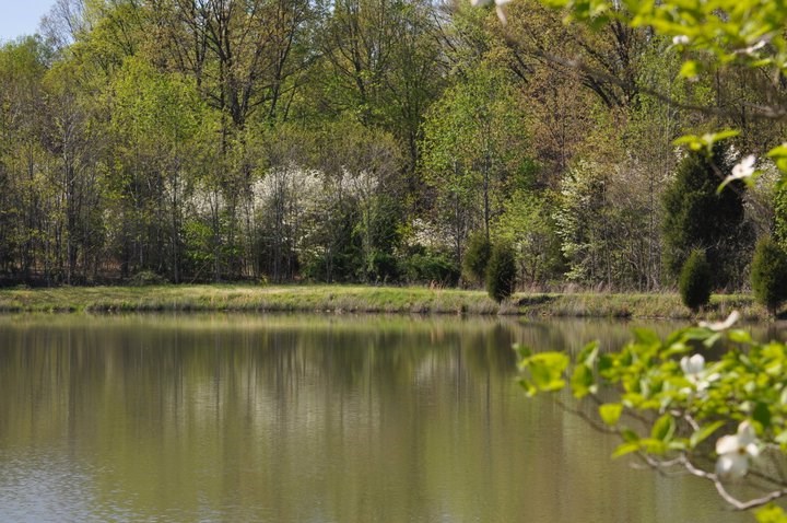 9570 South Snow Road Bloomington, IN 47403 - Photo 8 of 27 Gallery Image 8