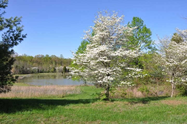 9570 South Snow Road Bloomington, IN 47403 - Photo 10 of 27 Gallery Image 10