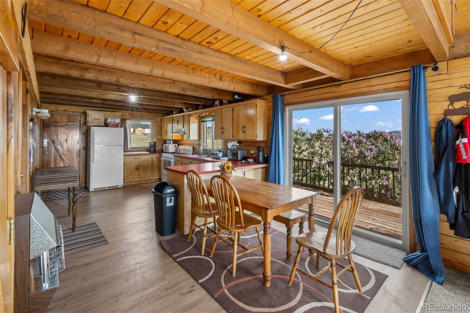 7256 Jefferson Road Lake George, CO 80827 - Photo 20 of 47