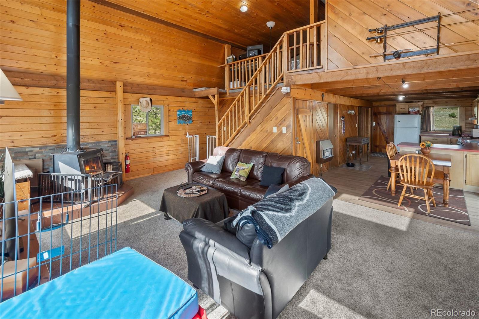 7256 Jefferson Road Lake George, CO 80827 - Photo 22 of 47