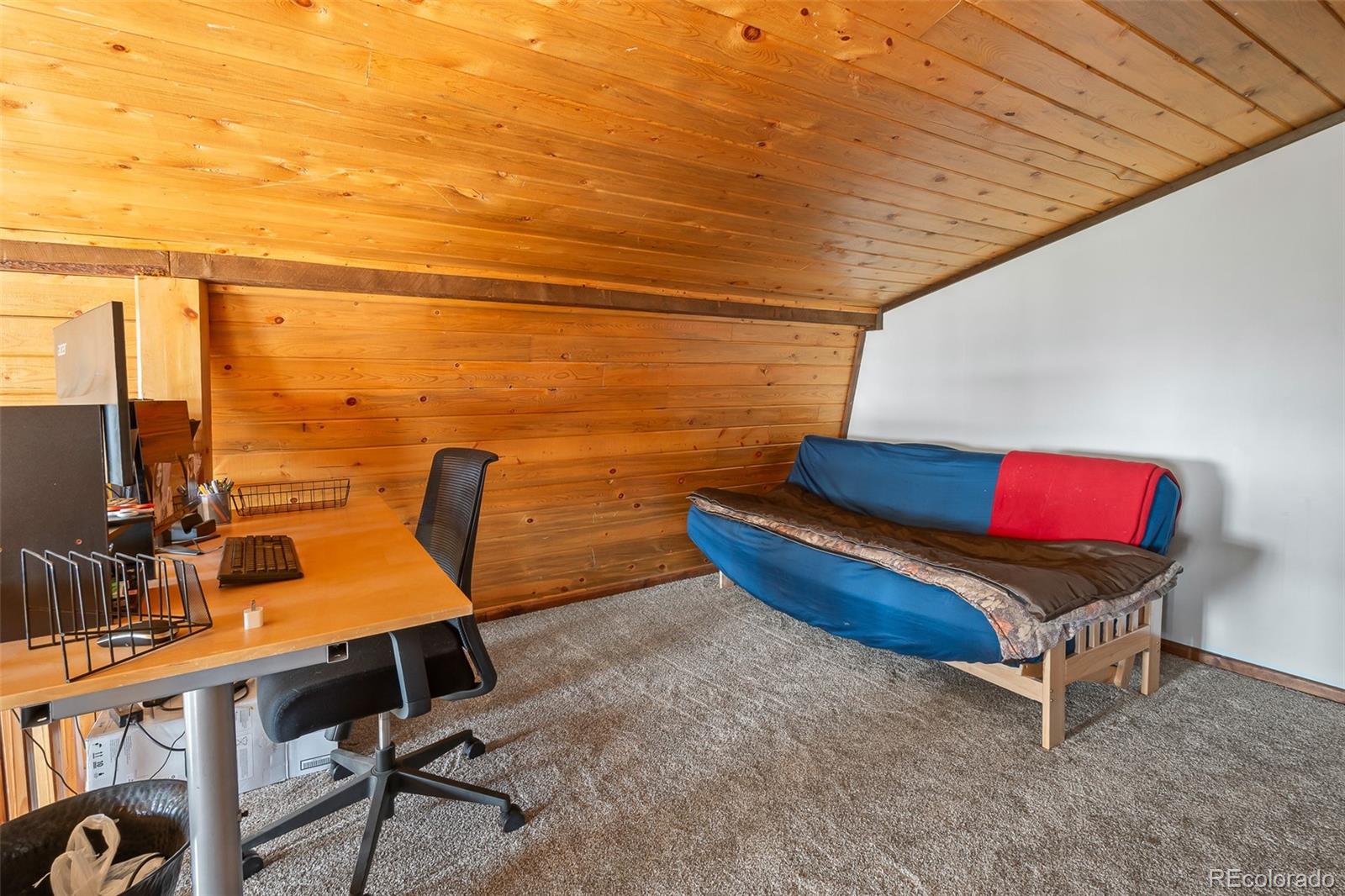 7256 Jefferson Road Lake George, CO 80827 - Photo 26 of 47