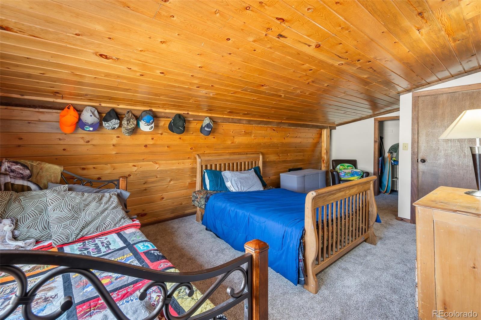 7256 Jefferson Road Lake George, CO 80827 - Photo 33 of 47