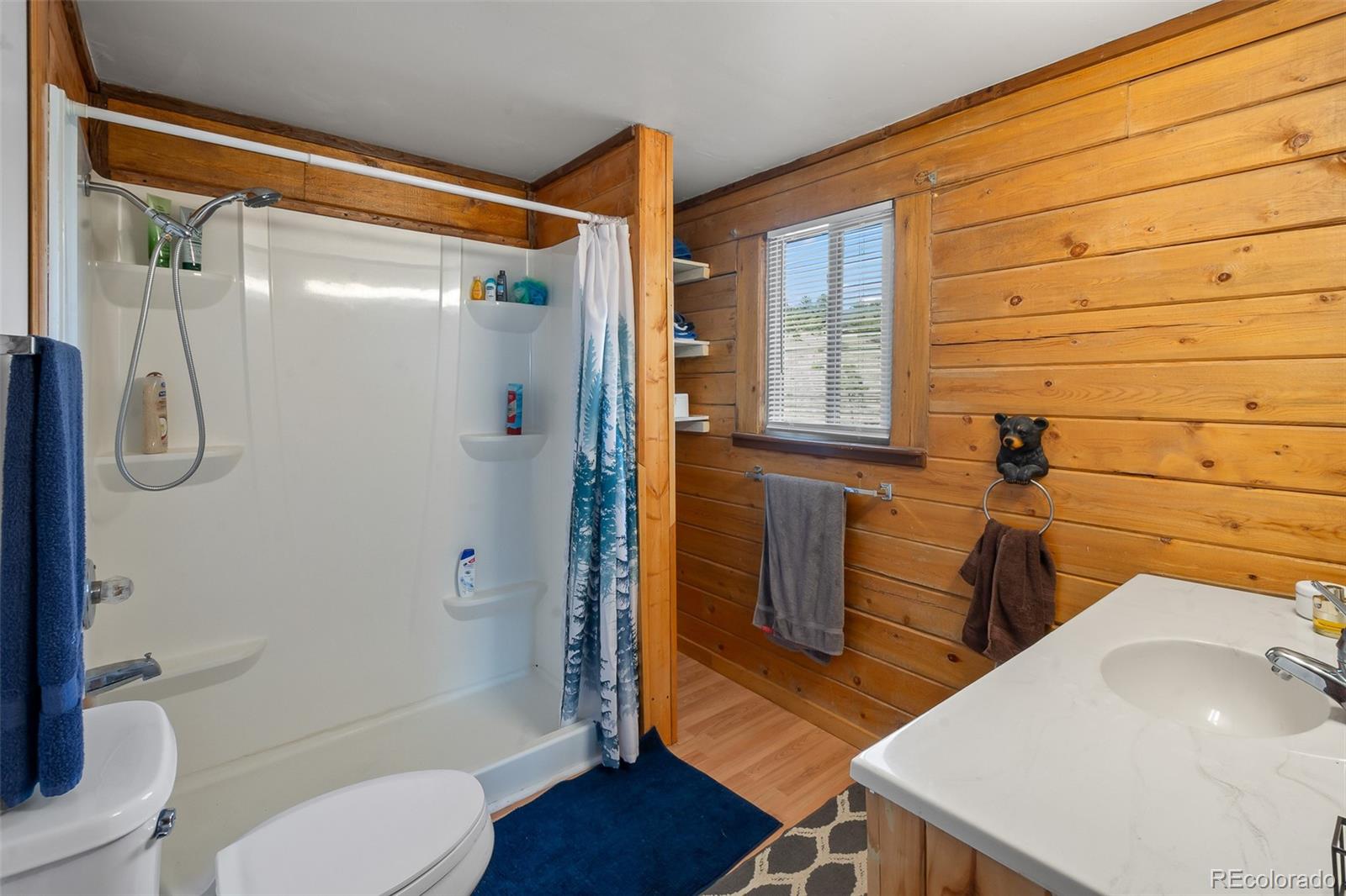 7256 Jefferson Road Lake George, CO 80827 - Photo 34 of 47