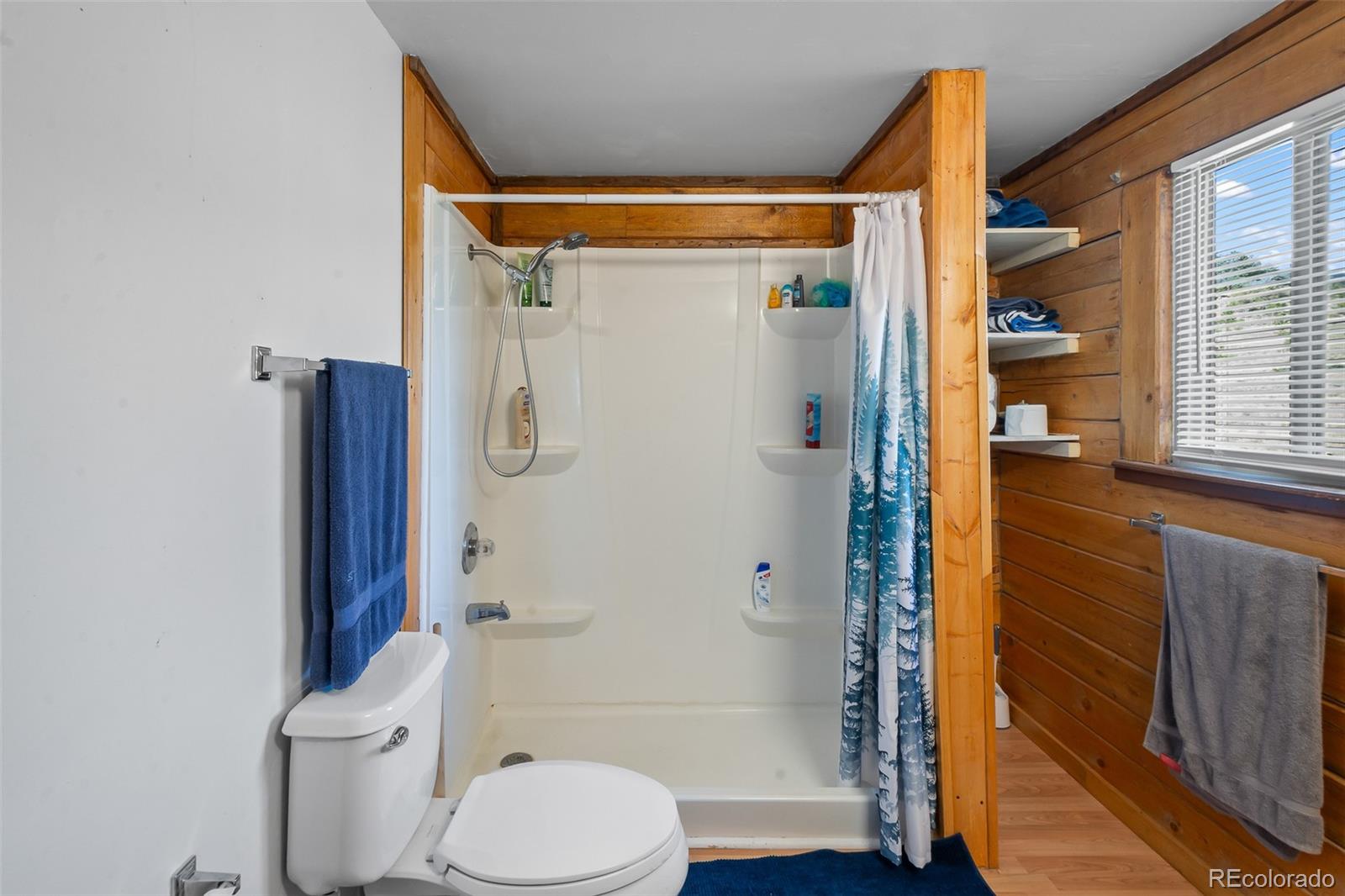 7256 Jefferson Road Lake George, CO 80827 - Photo 35 of 47